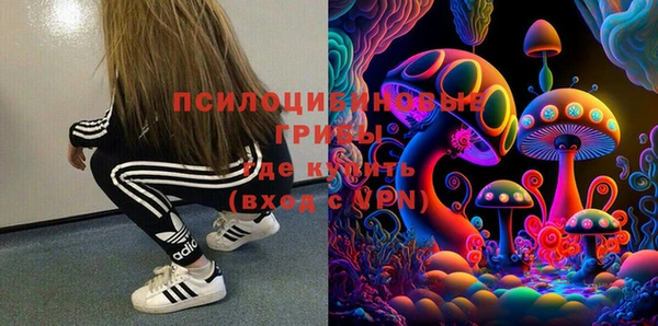 прущие грибы Ладушкин