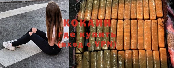 прущие грибы Ладушкин