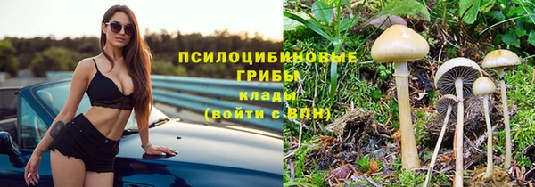 первитин Лагань