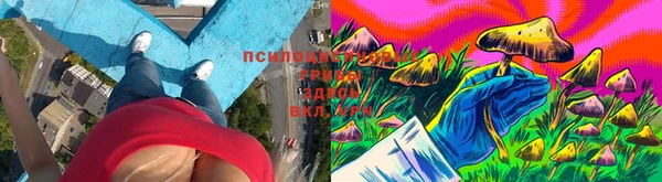крисы Архангельск