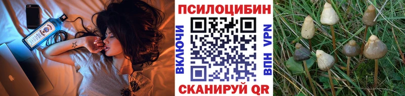 МЕГА ONION Бобров Псилоцибиновые грибы мицелий
